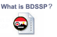 BDSSP